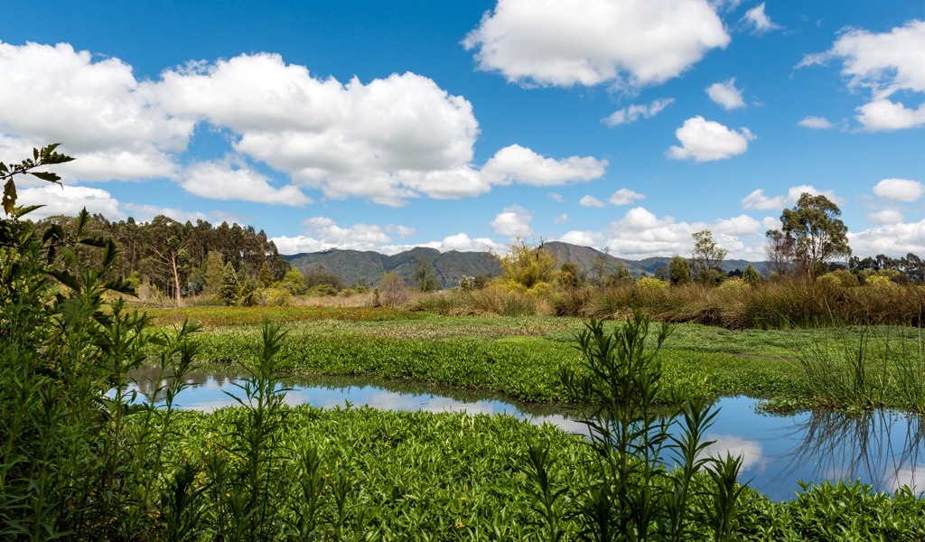 Humedales de Bogotá
